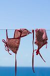 Купальник DnuD Panier SG Bikini 2836 & CU Bikini 2836 - MixBikini